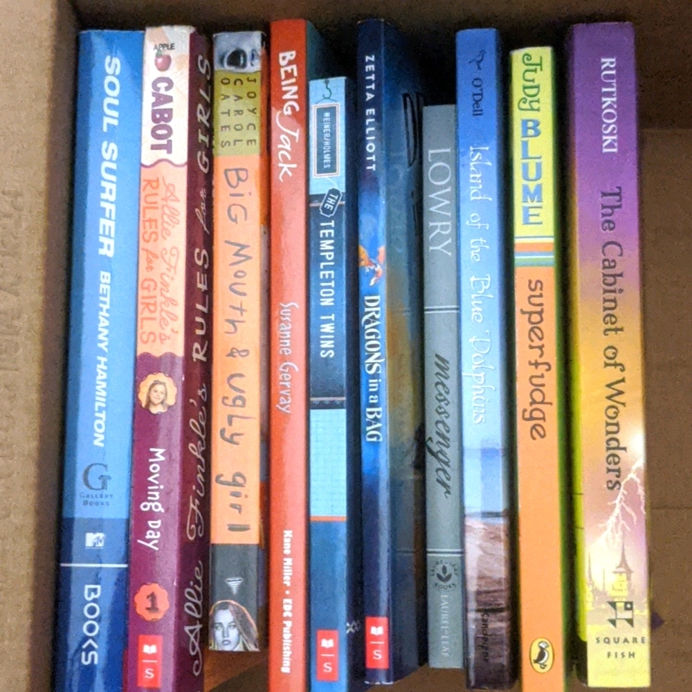 10 chapter books-soft cover